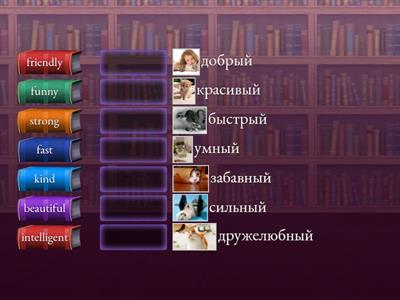 Go Getter (2) 4.3 Adjectives (2)