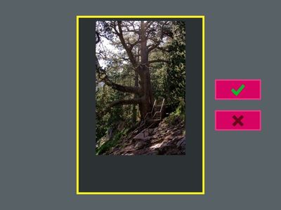 Човекът и обществото 3. клас