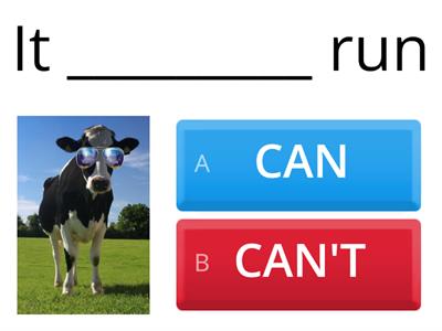 Copia de CAN AND CANT- ANIMALS