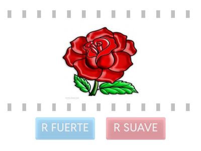 R FUERTE O R SUAVE 