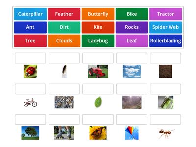 Spring Vocabulary Words 2