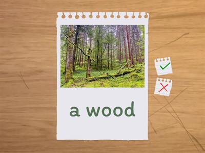 Flash.1mid.7lesson.words