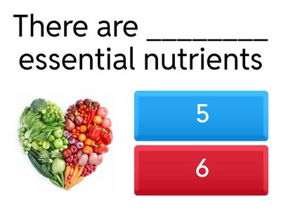 Essential Nutrients 
