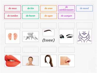 Face parts (dutch)