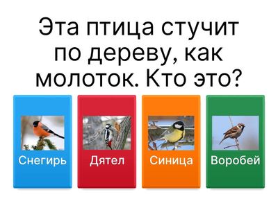 Отгадай зимующую птицу. Развитие мышления, целостного восприятия. 