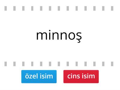 cins isim-özel isim