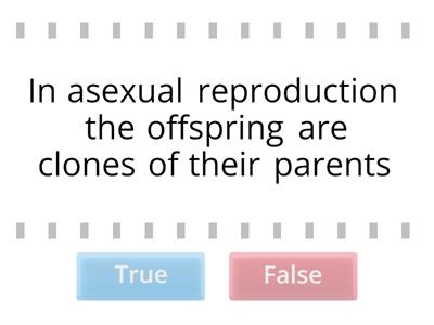 N4 Asexual & Sexual Reproduction True or False