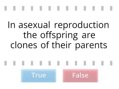 N4 Asexual & Sexual Reproduction True or False