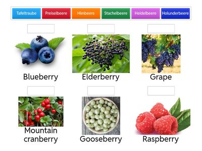 Beerenobst/Berries Deutsch /Englisch