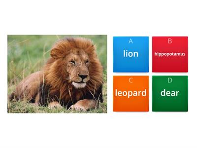 wild animals quiz