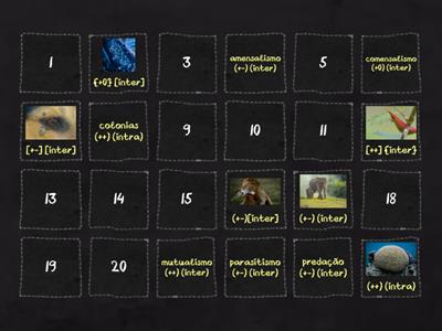 trabalho de ciências :)