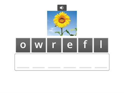 Everybody Up 1: U5 L1