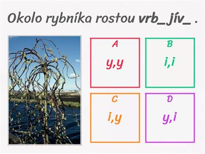 Vzory ženského rodu (koncovky)