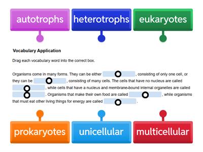 Classification Vocabulary Application