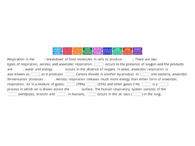 Respiration & Air Pollution