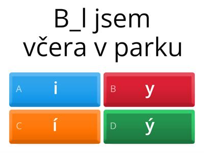 Doplňování i, y ,í, ý