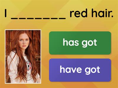 Full Blast 5 Module 2A Have/has got 