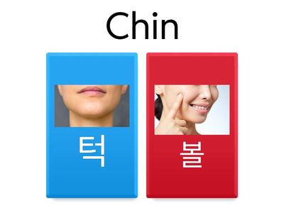 “Stretching-related vocabulary”