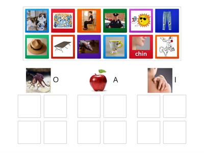 Short a, i and o phonemic awareness match