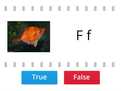 K4 - True or False