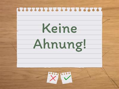 Beste Freunde A1.1. L1