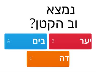 המשפחה שאימצה דוב