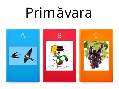  Primavara