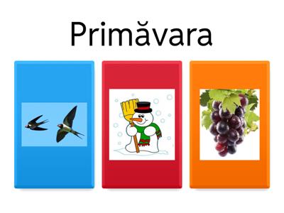  Primavara