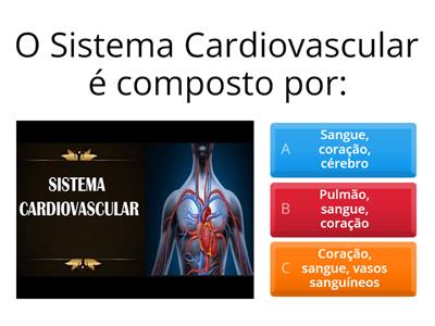 Sistema Cardiovascular