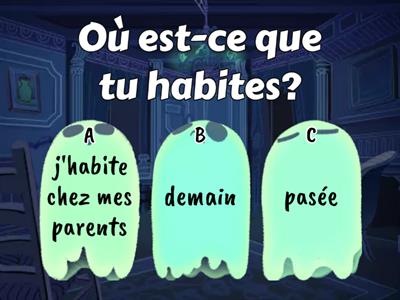 Les questions en français 