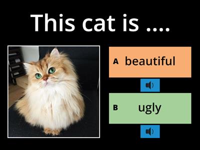 2B Adjectives English File Elementary