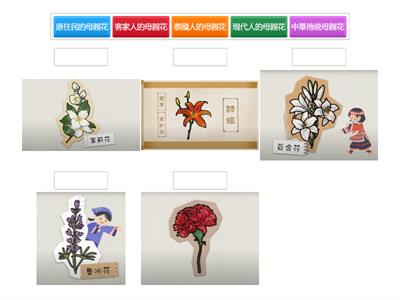 一、各種母親節的花