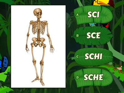 SCI SCE SCHI SCHE nella giungla!