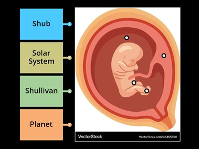 Embic and Birth