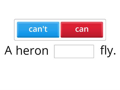 Complete the Sentence, Can / Can't