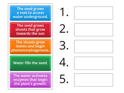 Horticulture: 1 stages of germination