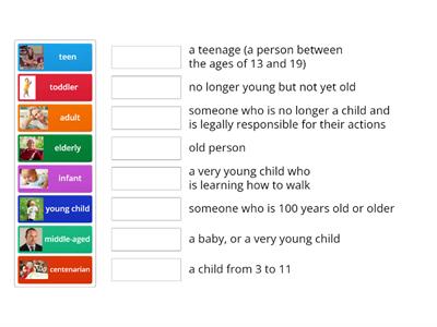 Stages of life