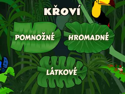 PODSTATNÁ JMÉNA (hromadná, pomnožná, látková)