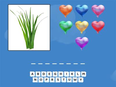 Правильные буквы Ich sehe was, was du nicht siehst... 