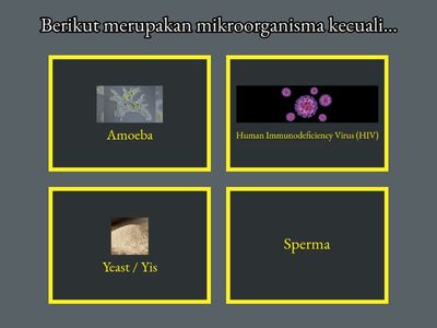 MIKROORGANISMA TAHUN 6