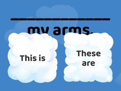 Ny body (Beehive 1 unit 5)