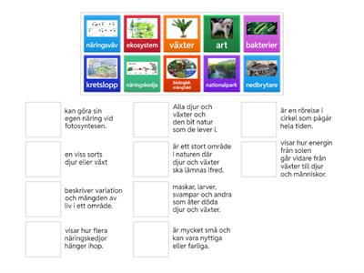 Para ihop begrepp i naturen