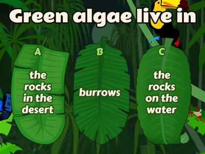 discover grade 3 1st term chapter 1 theme 2