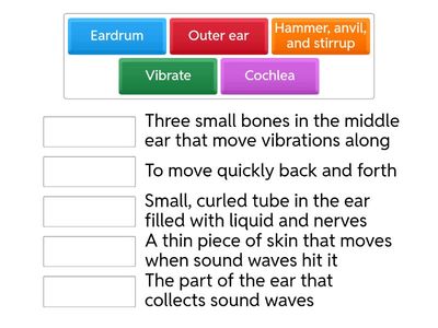 Match the scientific words from the text with their correct meanings.