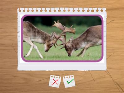 Oxford Discover2 Un2 Get Ready