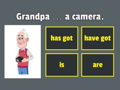 have / has / is / are