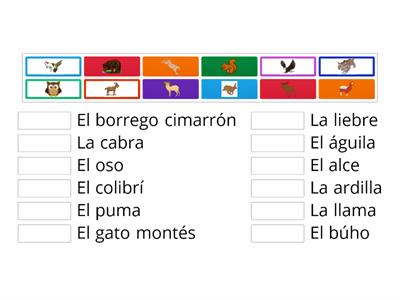 Animales de la montaña - Vocabulary 1b