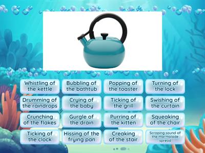 The sound collector by Roger McGough Matching activity