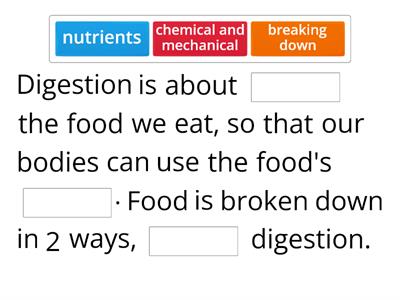 Notes: Digestive System