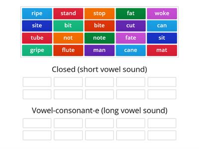 1-10 OG SDS Lesson - Closed / VCe Word Sort 